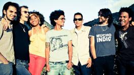 Sidestepper está de quince y los cumple en Medellín