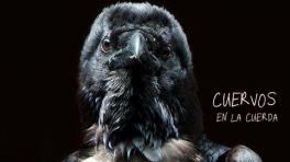 "Cuervos en la cuerda", lo nuevo de Revólver Plateado