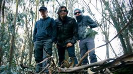 "Mejor Animal": lo nuevo de Ciegossordomudos