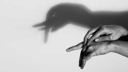 43 Salón (inter) Nacional de Artistas (43SNA)