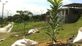 Sembramos en Medellín y ya viene el Radiónica Sound System