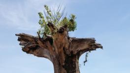 Dos documentales colombianos premiados en Documenta 2013