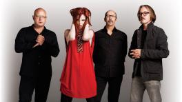 La banda está formada por la vocalista escocesa Shirley Manson y los tres productores estadounidenses: Butch Vig, Steve Marker y Duke Erikson