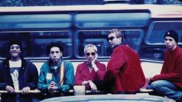 Aterciopelados en Bogotá. 1995.