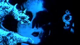 Veinte años en la selva oscura