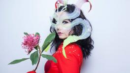 Foto por: Santiago Felipe Tomada del Instagram de Bjork