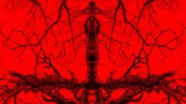 Imagen tomada de www.neostuff.net