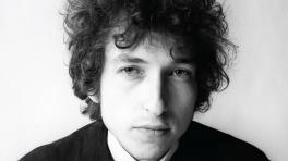 ¿Cuáles son sus favoritos? 