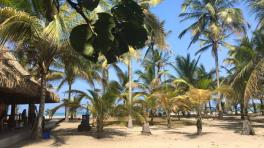 Foto Facebook: Bomba Estéreo