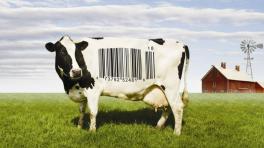 "Food Inc."