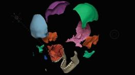 Everyday robots, el primer disco como solista de Damon Albarn