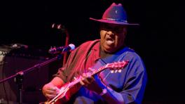 Fallece el guitarrista de blues Magic Slim