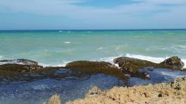 Fotografía por Sandra Villalba