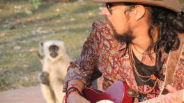 Imágenes: cortesía Carlos Elliot Jr. 