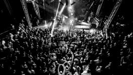 Todas las fotos de GaTo Traficante Fotografía