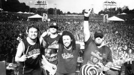 Nepentes estrena canción