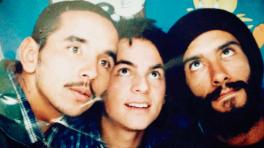 Palabras a 'Dala', por Javier de Alerta Kamarada