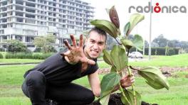 Christian de la Espriella nos cuenta sobre la selección de Rock Al Parque 2012