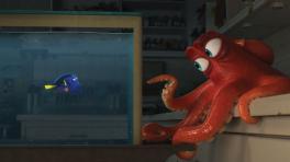 Buscando a Dory.