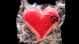 Día mundial de los trasplantados