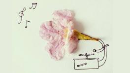 Más que Sonidos: una apuesta por el rock en Antioquia