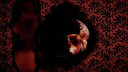 Imagen extraída del vídeo bajo la dirección artística de Rebeccah Lak 