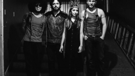 Dentro del universo de los Animales Eléctricos