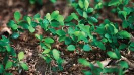 Foto tomada de www.americateve.com