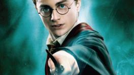 NO habrá "Harry Potter Go"