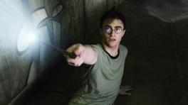 Descubran cuál es su 'Patronus' si fueran magos de Hogwarts