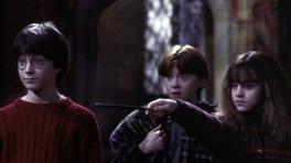A 20 años del nacimiento de Harry Potter, esto ha sucedido