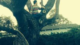 Un nuevo gran desconocido en Tardes Radiónica