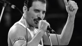 Freddie Mercury murió el 24 de noviembre de 1991 a los 45 años de edad.
