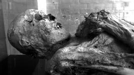 Fotos tomadas por: Geiner Linares