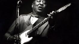 Recordando a Muddy Waters