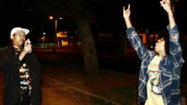 Música nueva: desde el garaje de The Bots