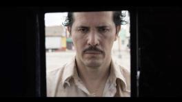 PERROS: de la reserva de Harold Trompetero 