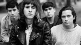 Imagen obtenida del Facebook de Petite Monster