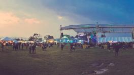 Así vivimos Estéreo Picnic en su segundo día