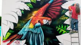 Imágenes extraídas del Facebook de Rojor