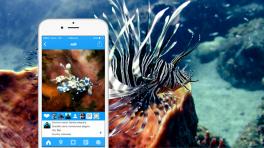 Emprendedores digitales colombianos harán historia en Europa