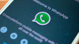 WhatsApp fue lanzada en 2009 y su desarrollador es Facebook.