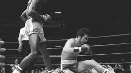 Apuntes sobre el boxeo colombiano