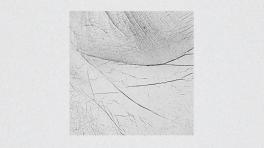 "Oblite", el nuevo disco de Almeeva