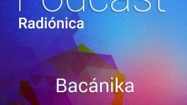 Carolina Andújar y el arte de escribir