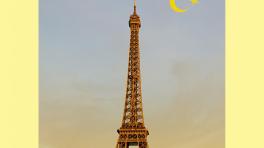 'Sumisión' - Michel Houellebecq