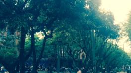 La vida en Carlos E. Restrepo