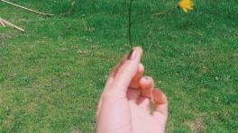 Carolina Chavate y los blogs