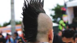 ¿Qué significa y de dónde viene la Cresta?