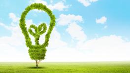 Documentales: Comprometidos con el medio ambiente 